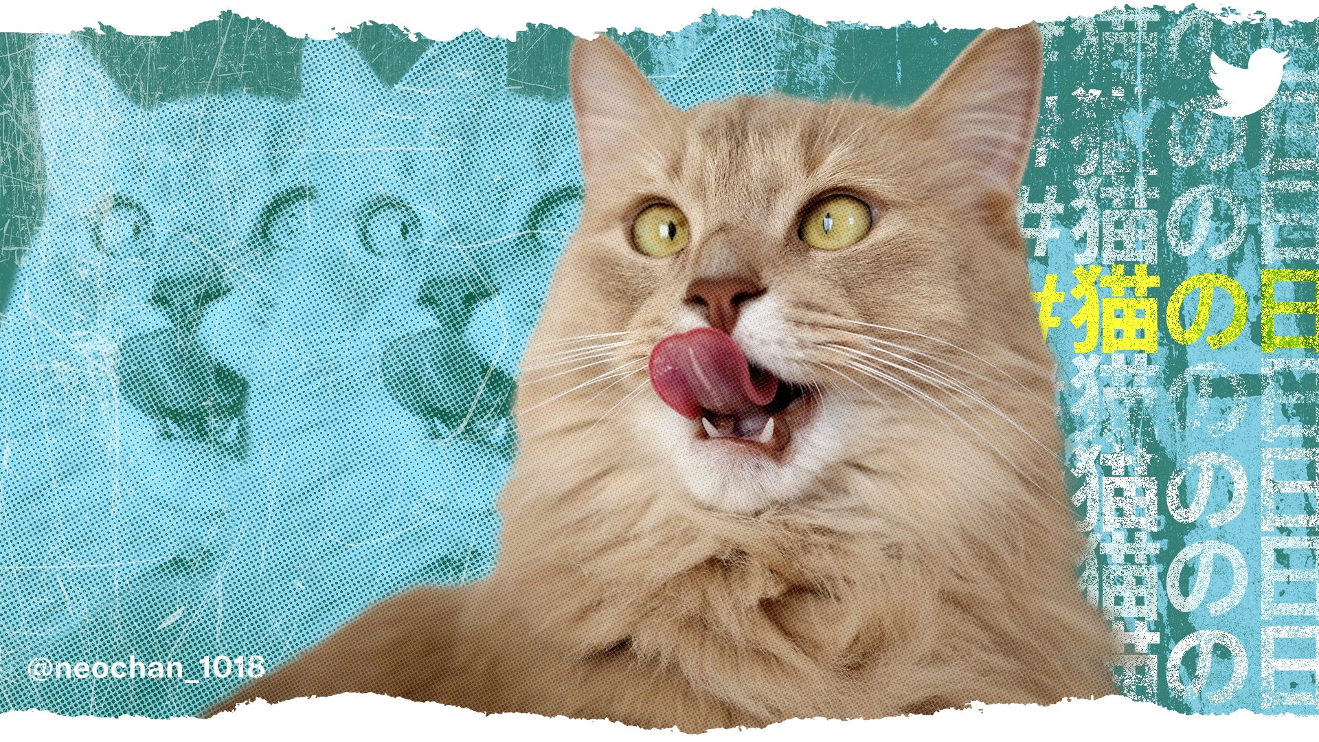 2022年2月22日は特別な #猫の日