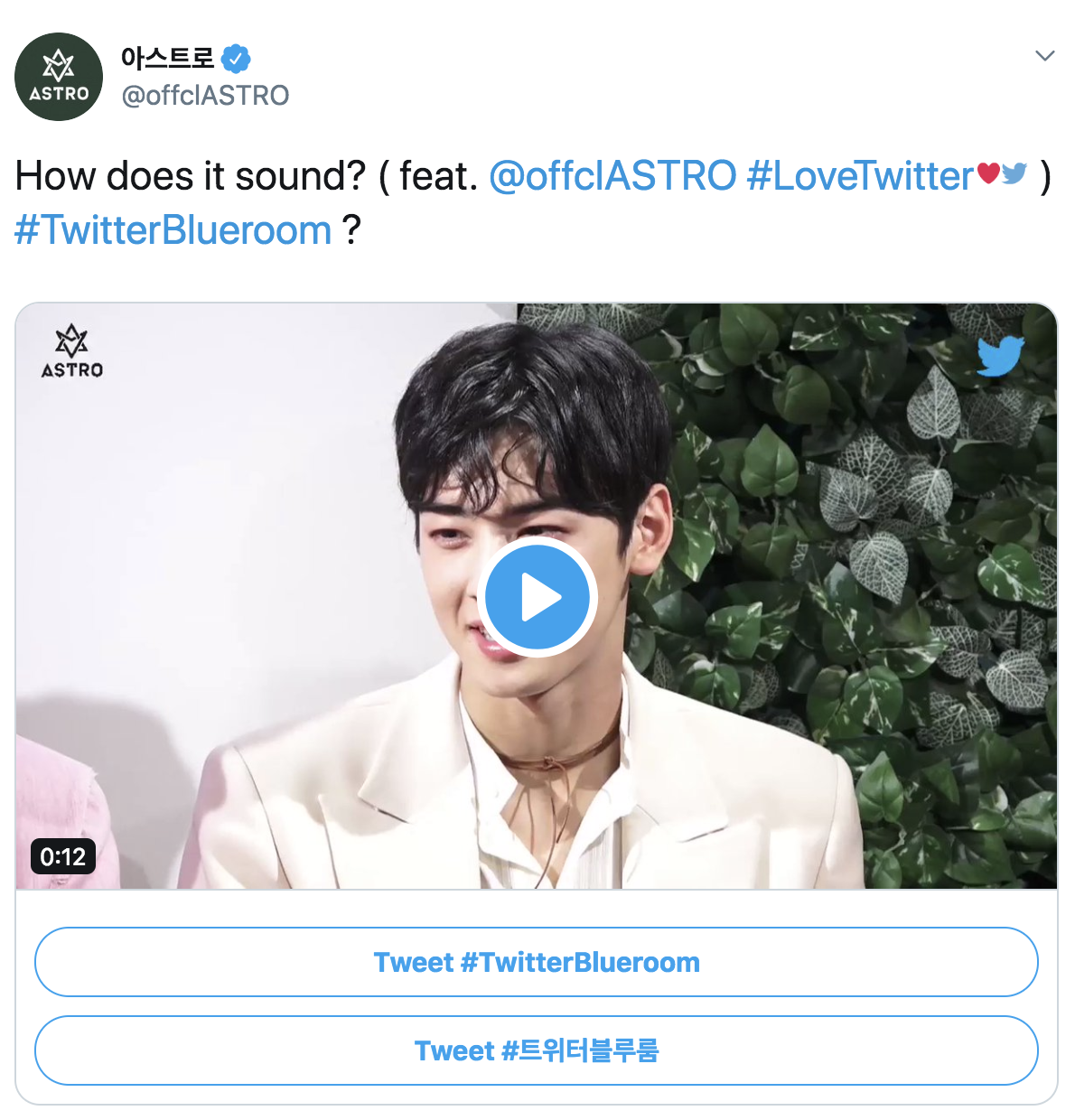 KPOP 팬을 위한 #트위터블루룸 과 함께하세요